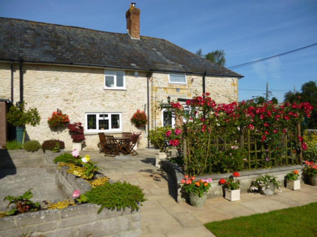 Bed and Breakfast Quiet Woman House Halstock Exterior foto