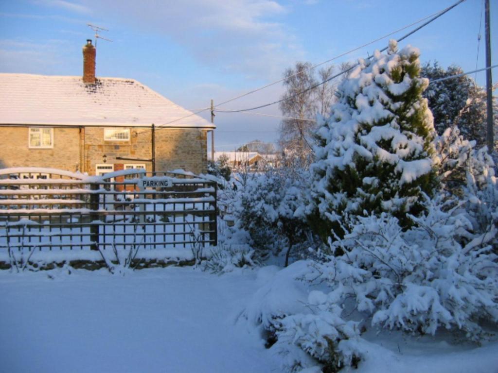 Bed and Breakfast Quiet Woman House Halstock Exterior foto