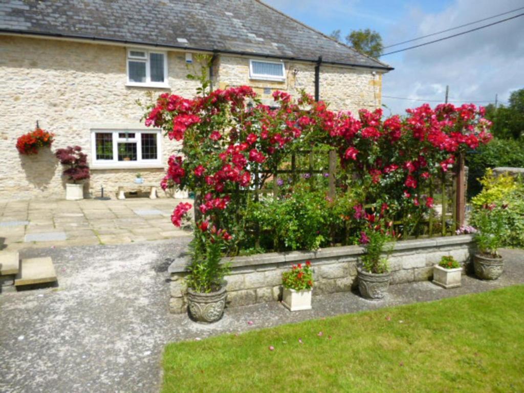 Bed and Breakfast Quiet Woman House Halstock Exterior foto